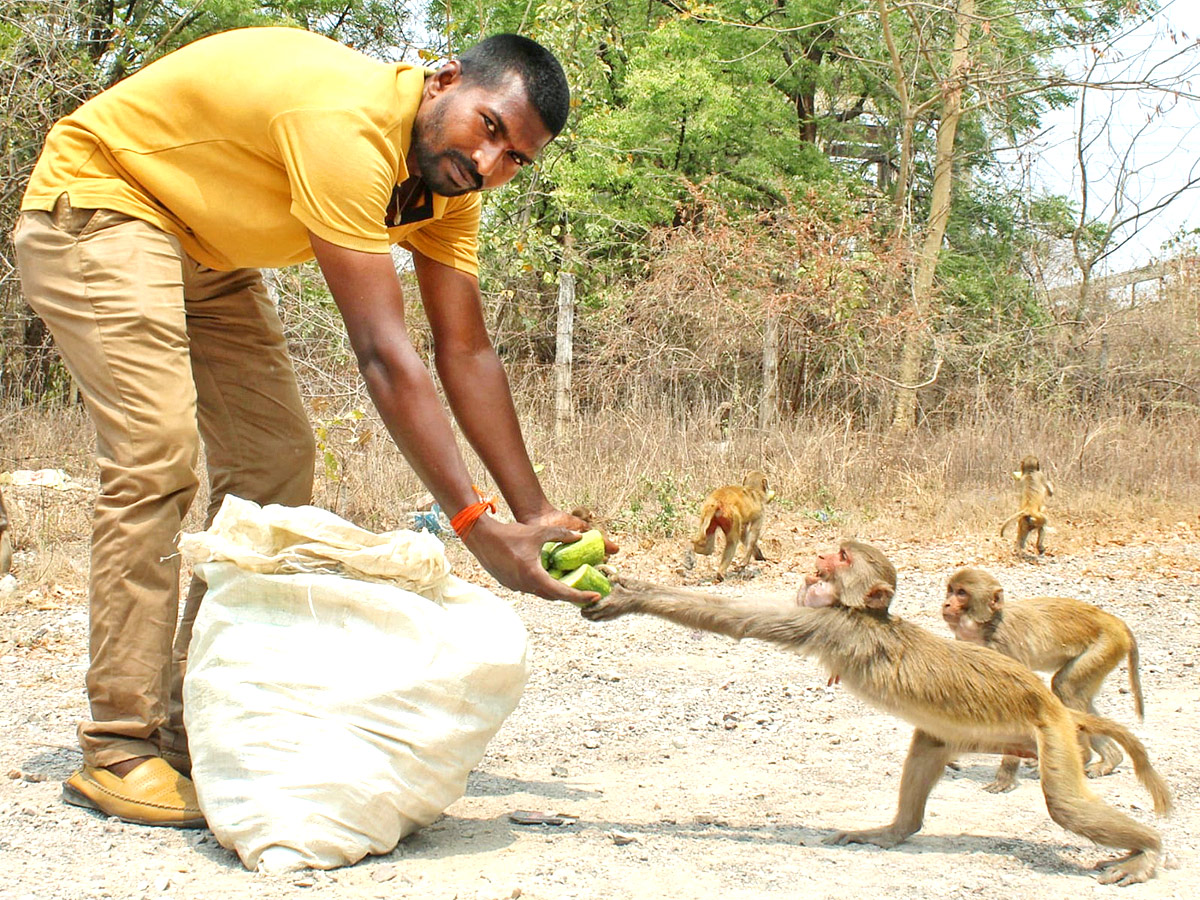 Best Images of The Week in AP and Telangana - Sakshi20