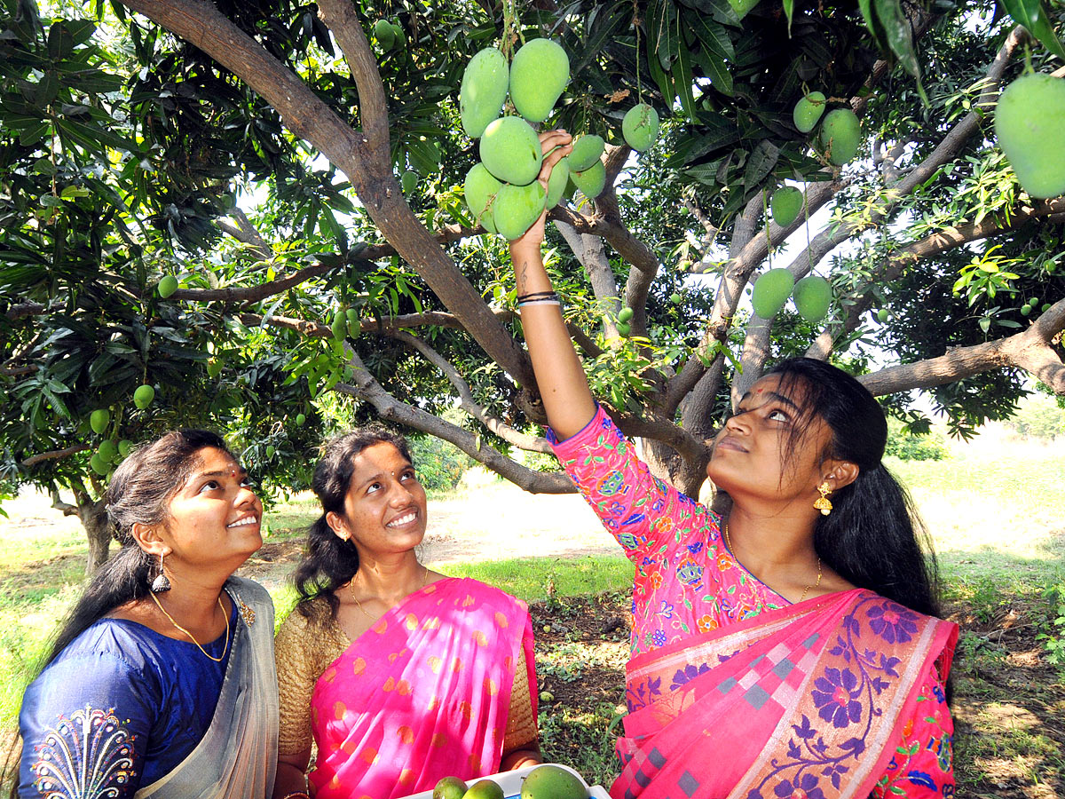 Best Images of The Week in AP and Telangana - Sakshi1