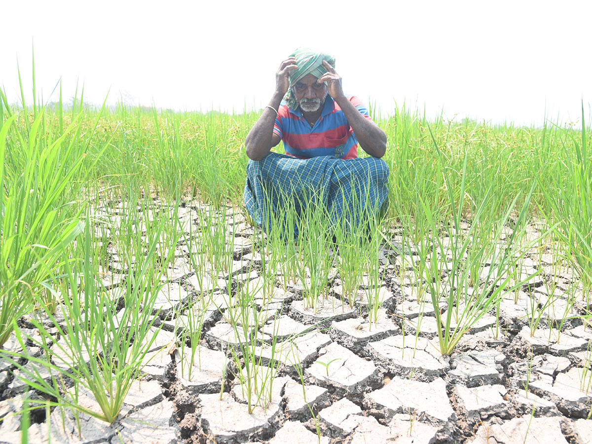 Best Images of The Week in AP and Telangana - Sakshi18