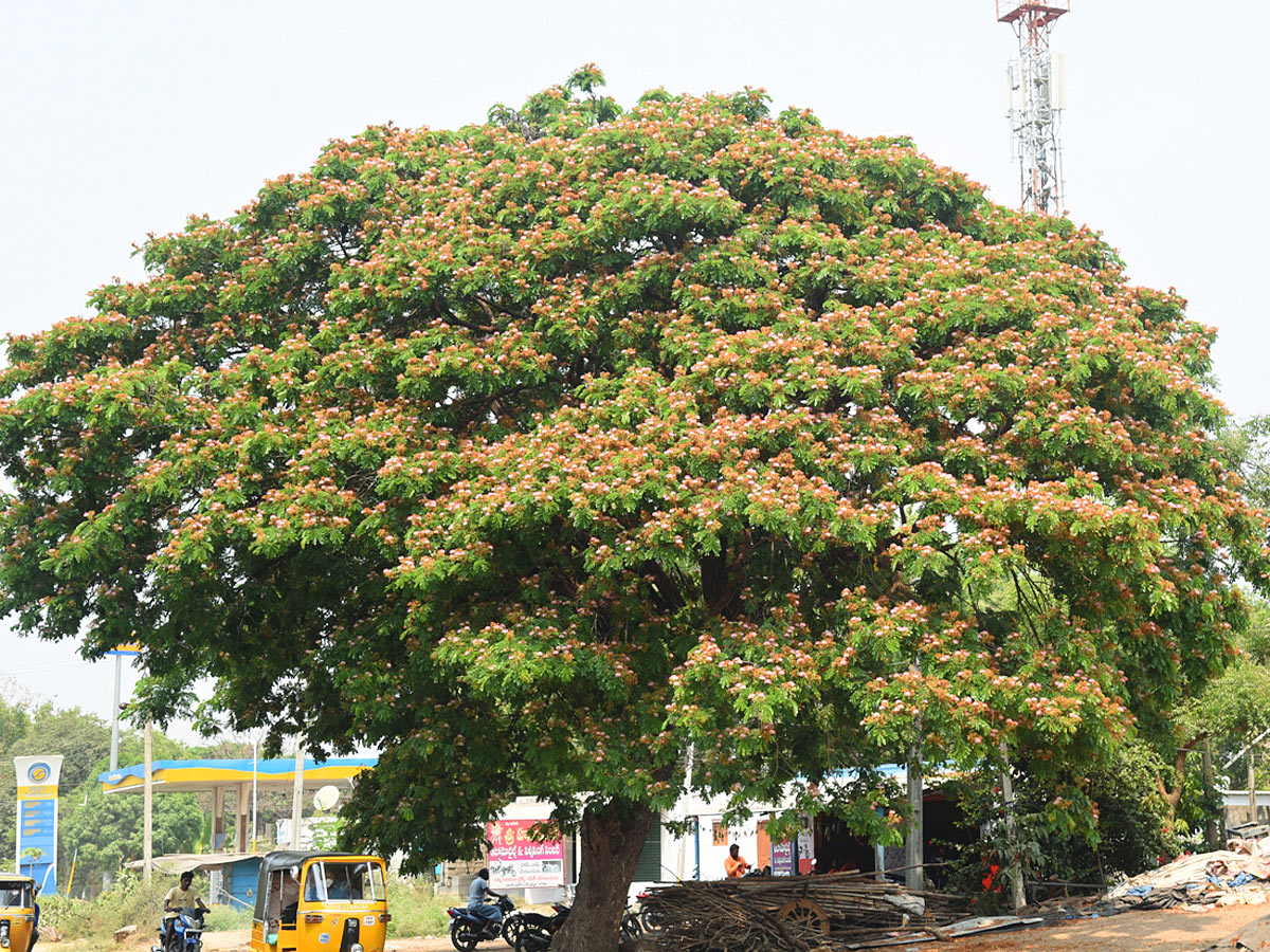 Best Images of The Week in AP and Telangana - Sakshi19