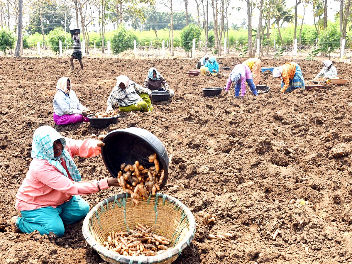 Best Images of The Week in AP and Telangana - Sakshi4