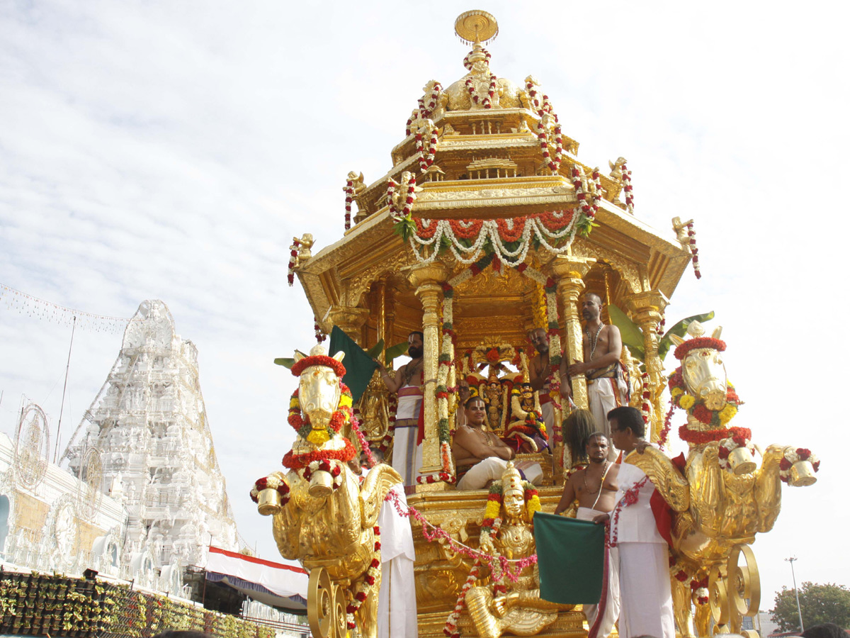 Srivaru on Swarna Ratham at Tirumala Photo Gallery - Sakshi3