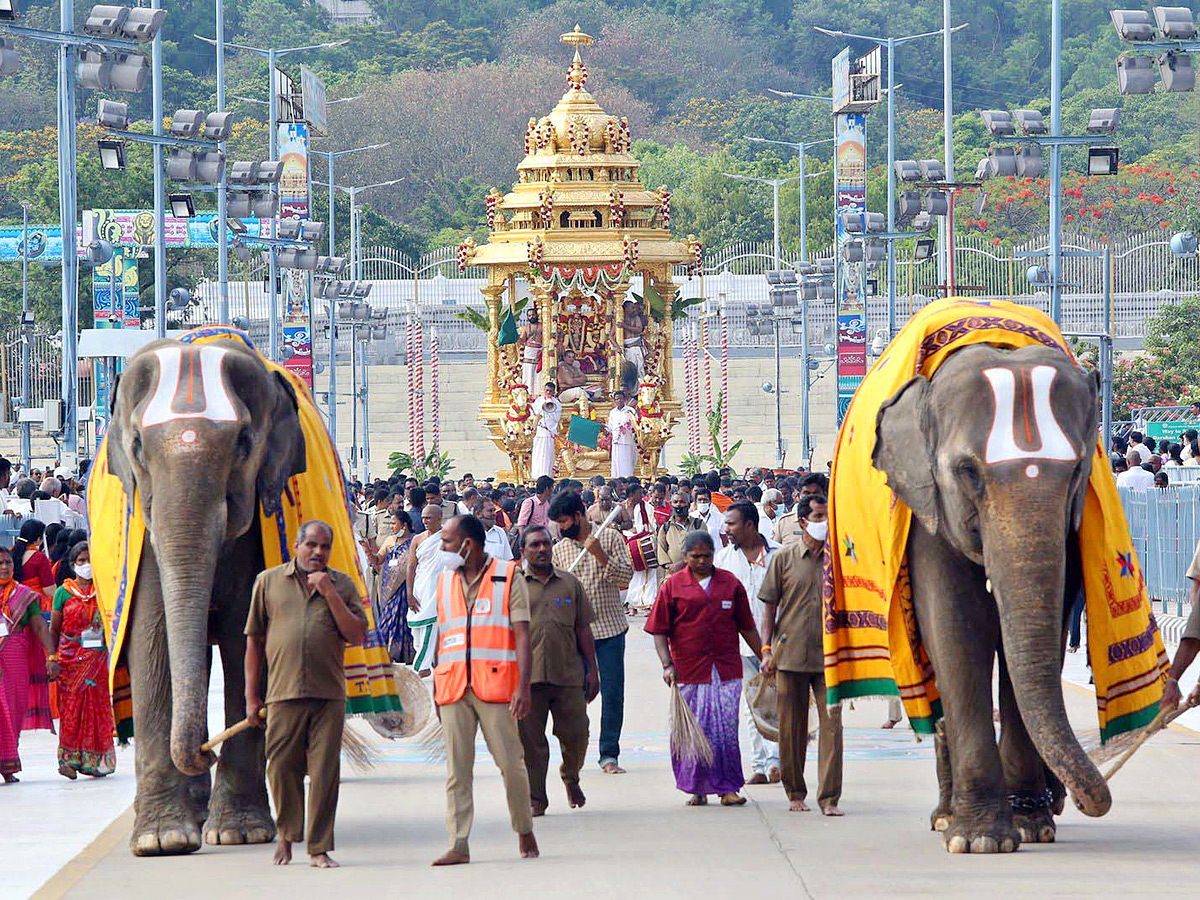 Srivaru on Swarna Ratham at Tirumala Photo Gallery - Sakshi5