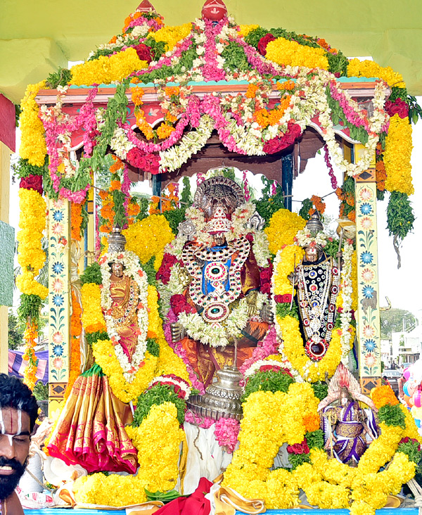 Chadalavada Raghu Nayakula Swamy Kalyanam Photos - Sakshi4