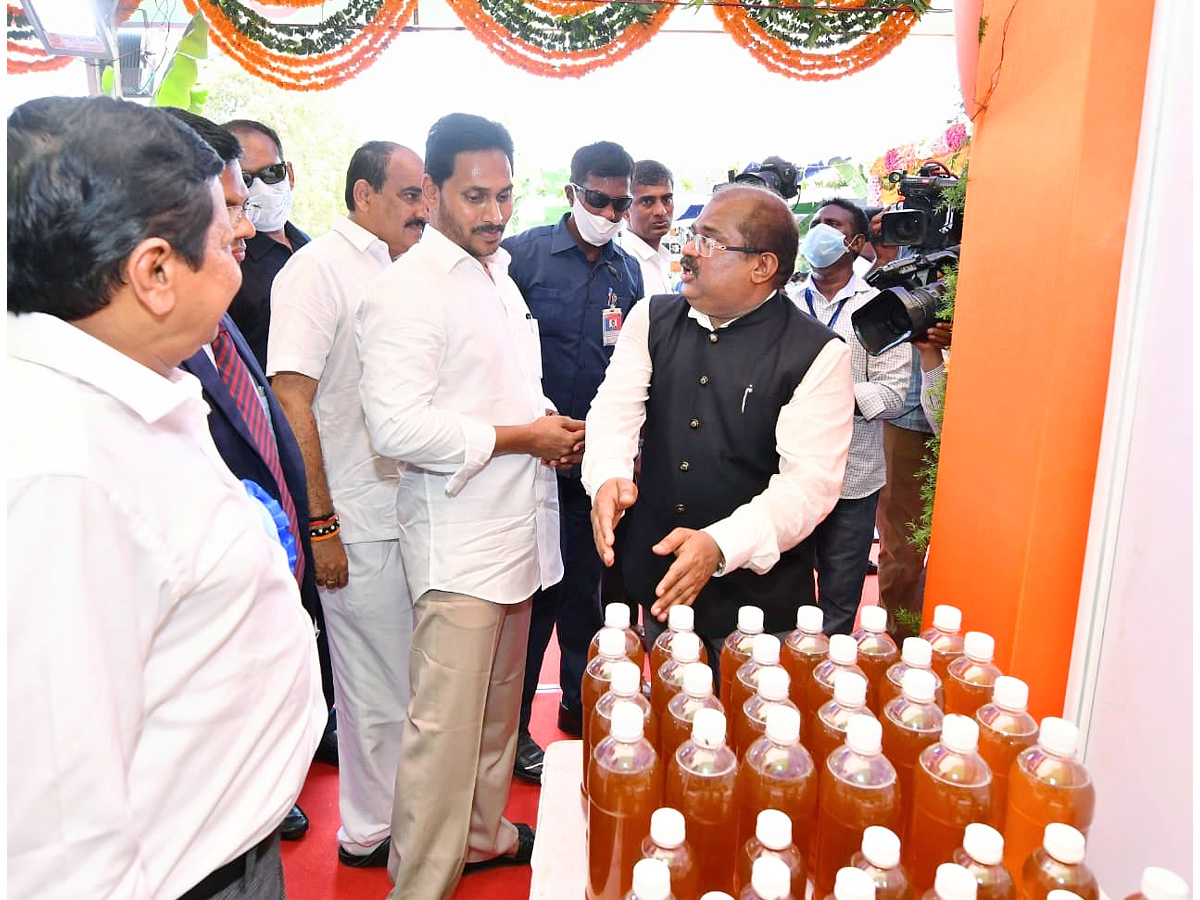 AP CM Jagan Launch 3rd Phase YSR Sunna Vaddi Scheme in Ongole Photo Gallery - Sakshi10