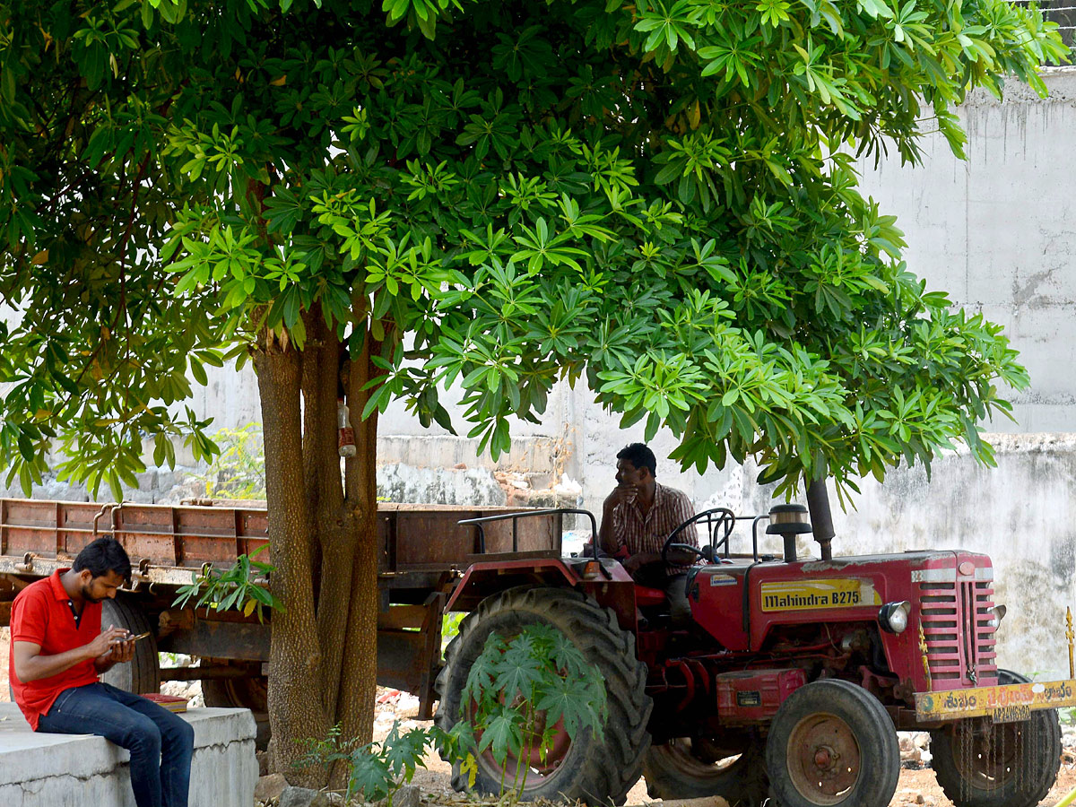 Images of The Week in AP and Telangana - Sakshi14