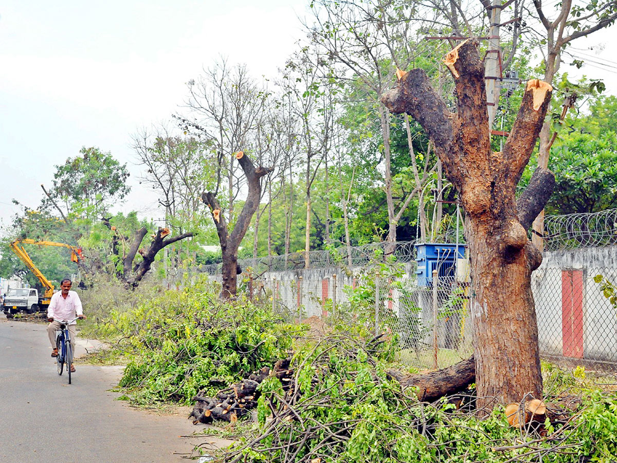 Images of The Week in AP and Telangana - Sakshi22