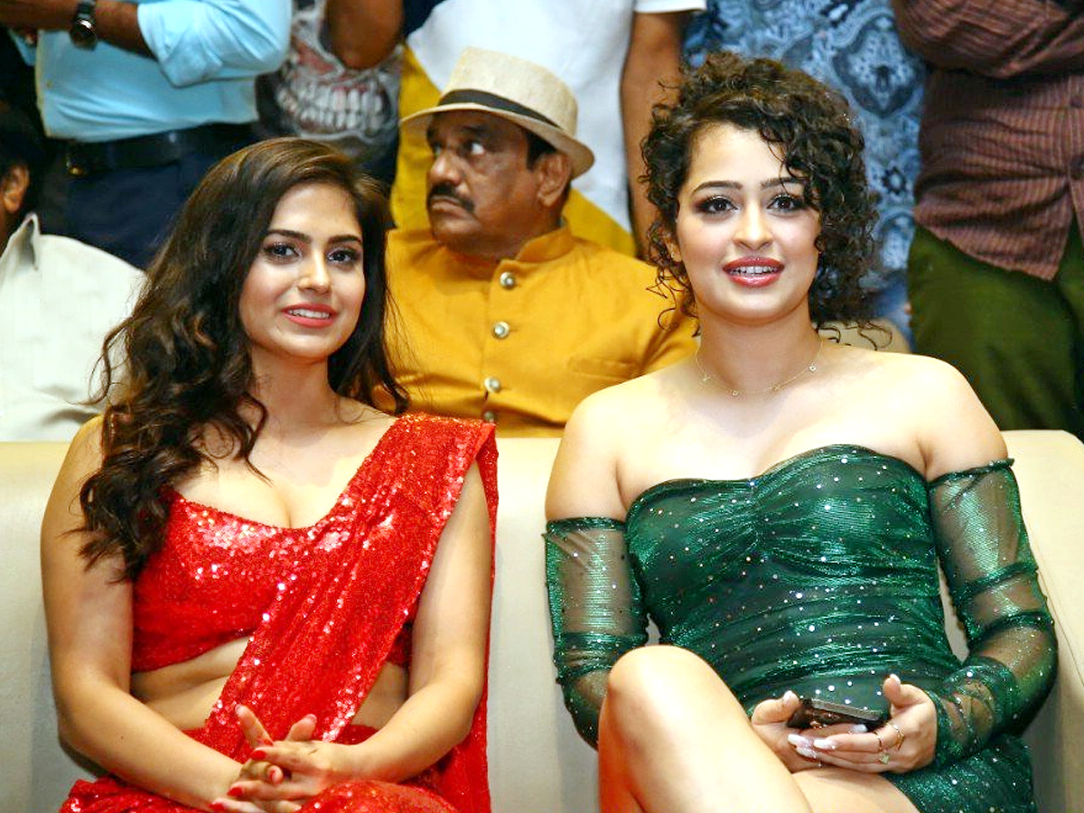 Maa Ishtam Movie Pre Release Event - Sakshi2