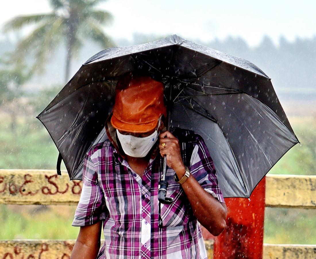 Heavy Rains In Krishna District  - Sakshi4