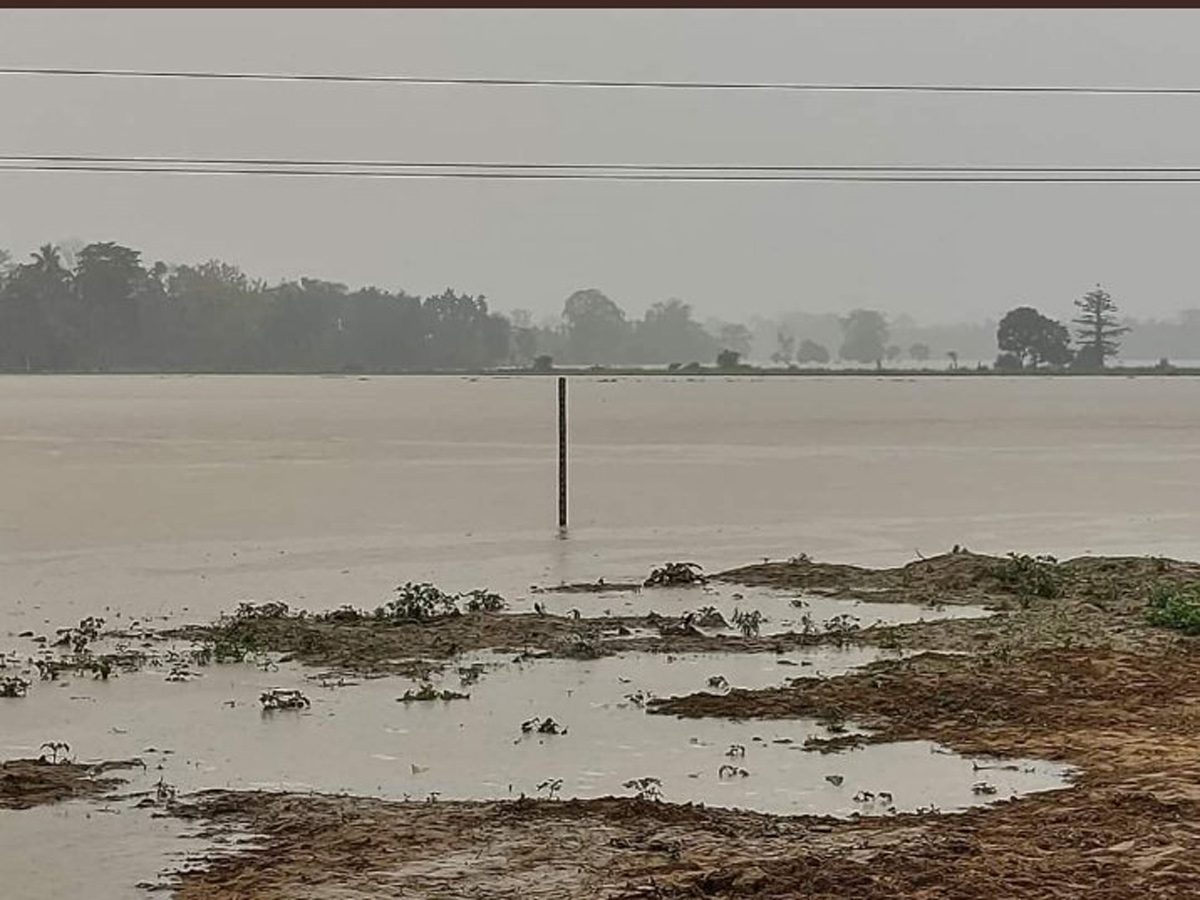 Heavy Rain in Assam Photo Gallery - Sakshi11