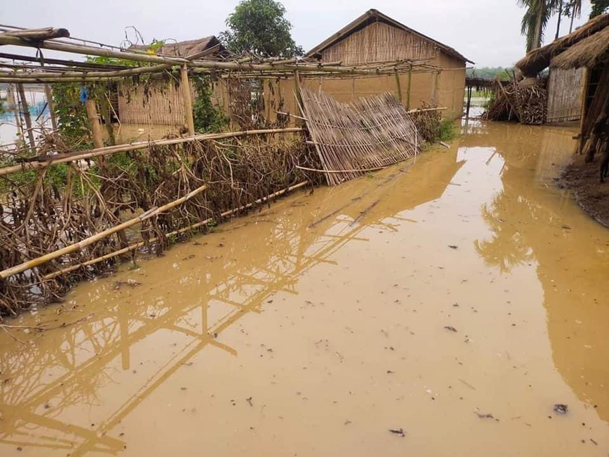 Heavy Rain in Assam Photo Gallery - Sakshi13