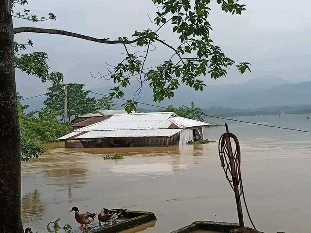 Heavy Rain in Assam Photo Gallery - Sakshi5