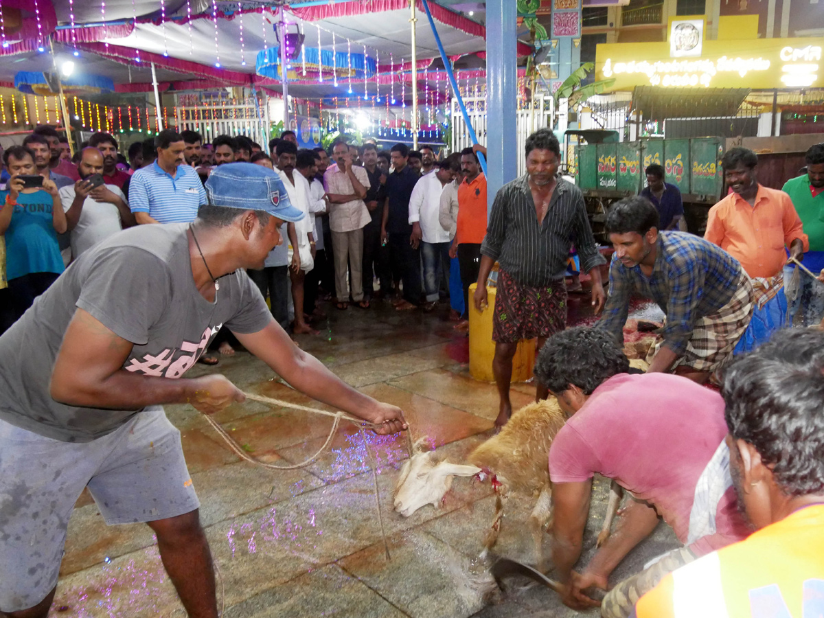 Tirupati Gangamma Temple 2022 Jatara Photo Gallery - Sakshi11