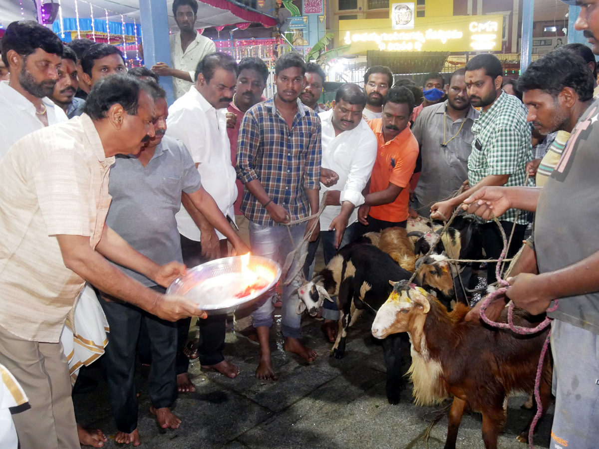 Tirupati Gangamma Temple 2022 Jatara Photo Gallery - Sakshi12