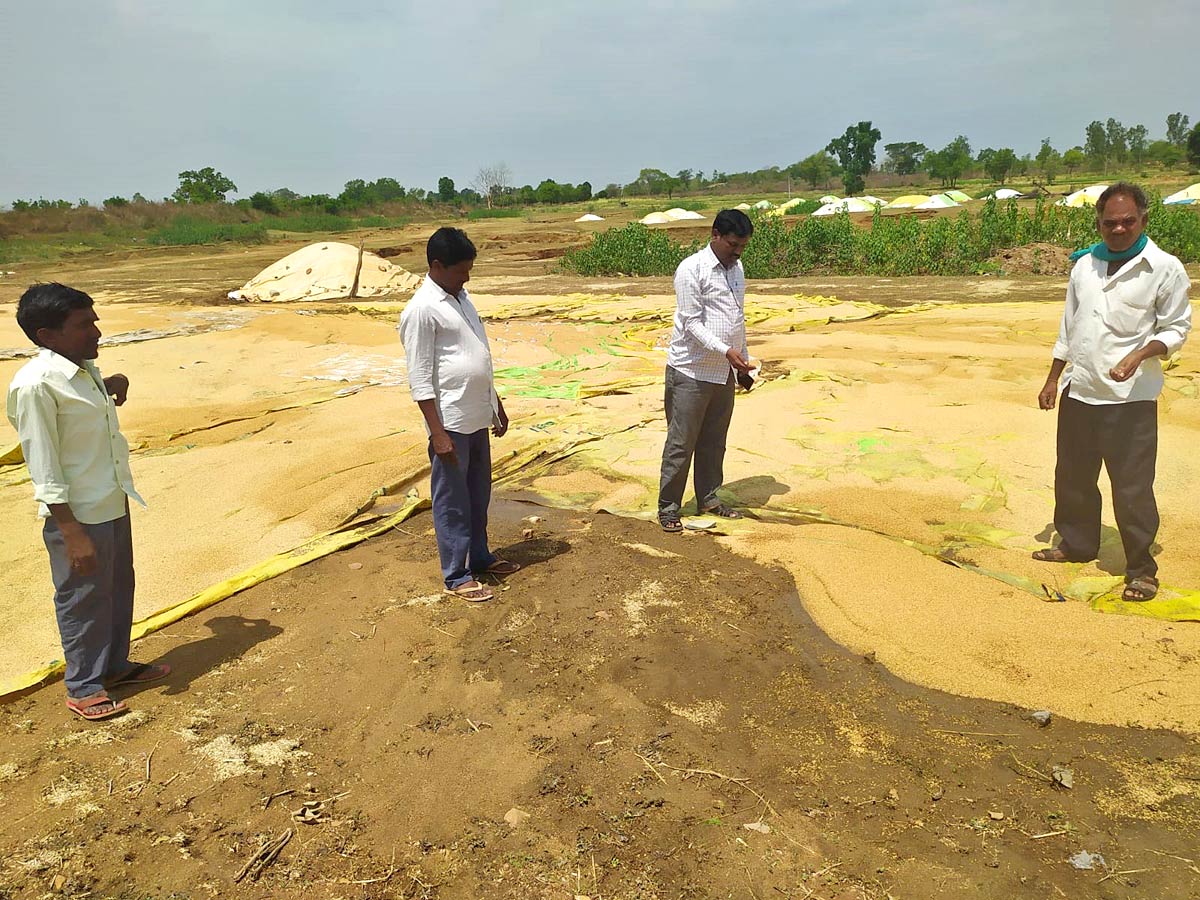 Unseasonal Rains In Telangana Farmers Suffer Paddy Damage - Sakshi7