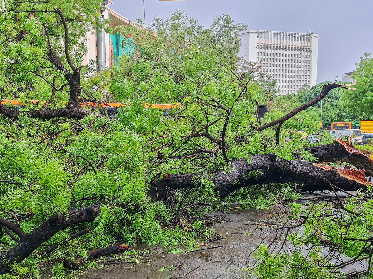 Heavy rainfall with strong winds lashes Delhi Photo Gallery - Sakshi2