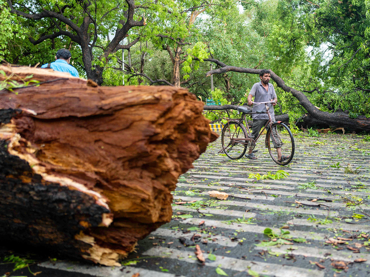 Heavy rainfall with strong winds lashes Delhi Photo Gallery - Sakshi11