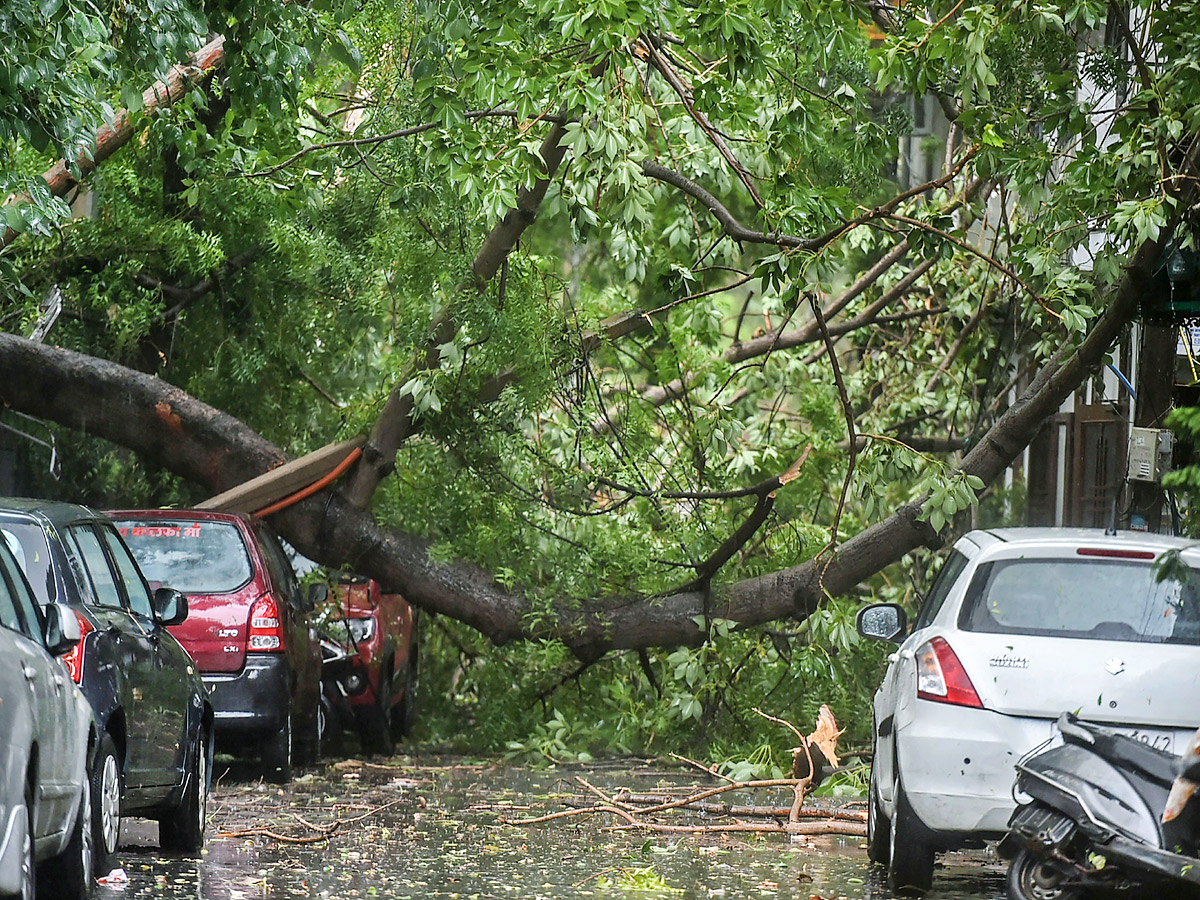 Heavy rainfall with strong winds lashes Delhi Photo Gallery - Sakshi1