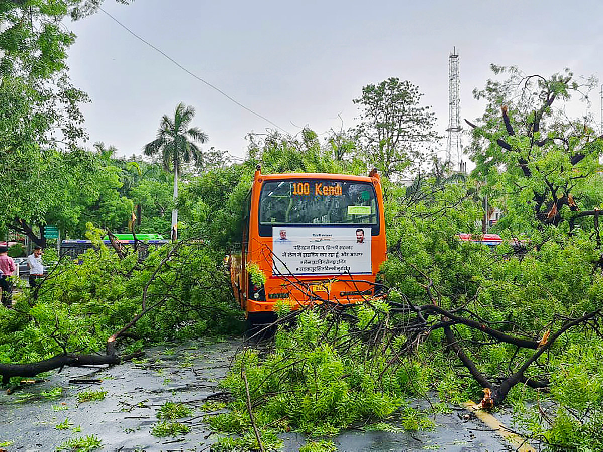 Heavy rainfall with strong winds lashes Delhi Photo Gallery - Sakshi5