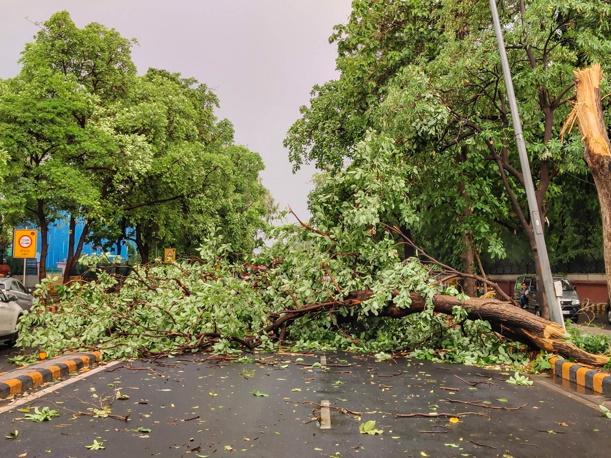 Heavy rainfall with strong winds lashes Delhi Photo Gallery - Sakshi6