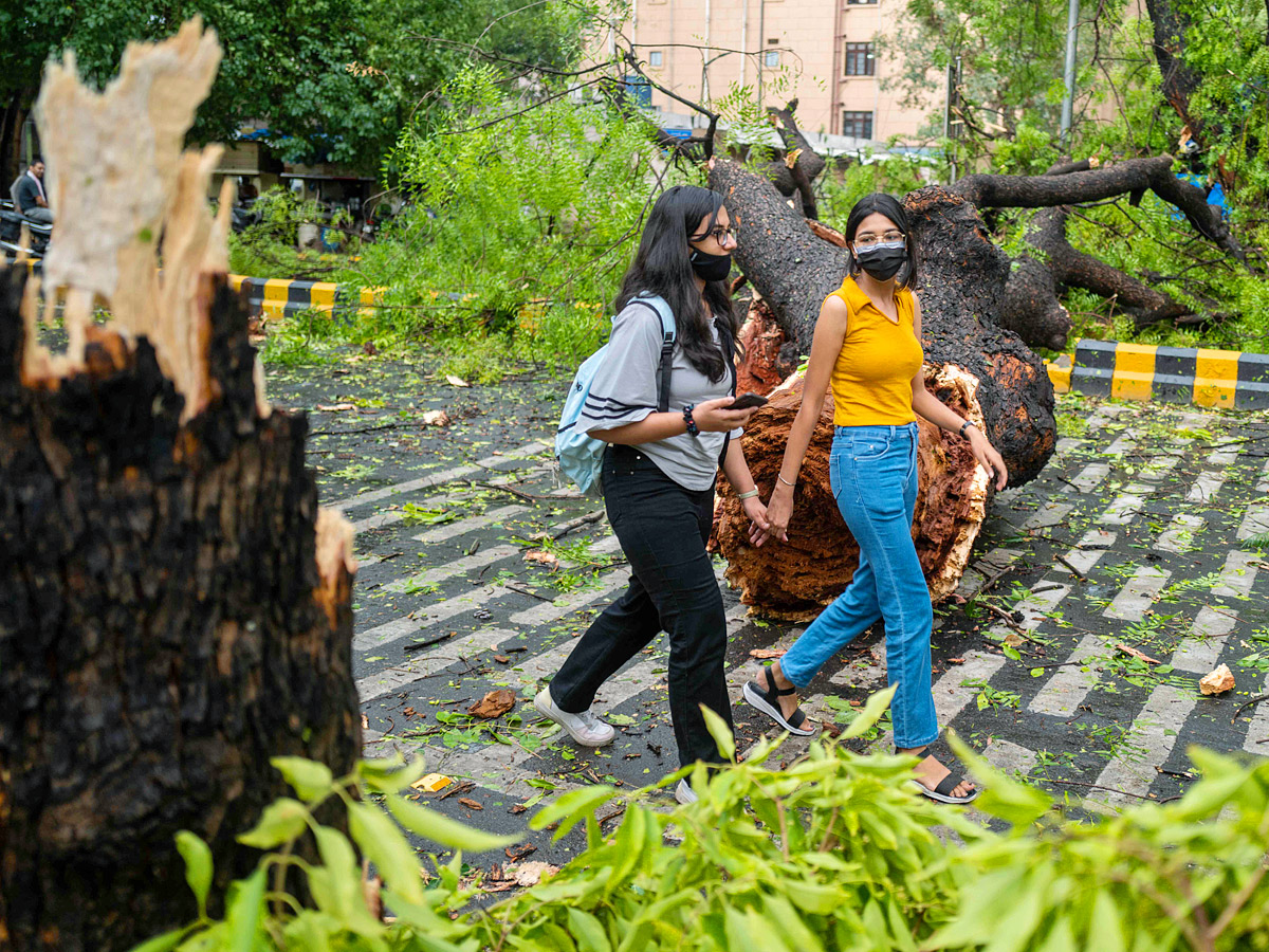 Heavy rainfall with strong winds lashes Delhi Photo Gallery - Sakshi8