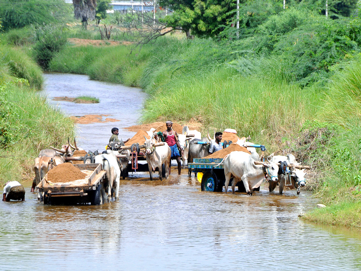 Best Photos of The Week in AP and Telangana - Sakshi2