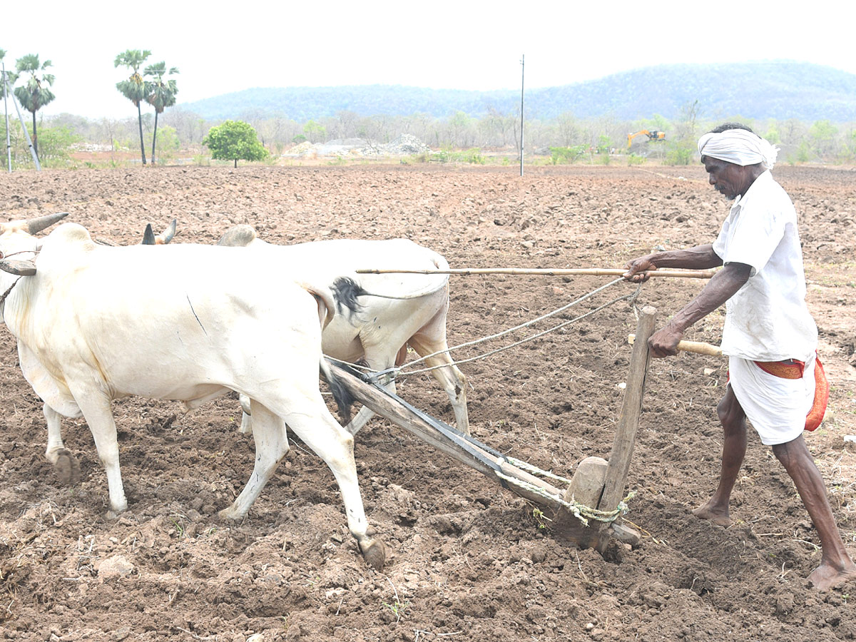 Best Photos of The Week in AP and Telangana - Sakshi17