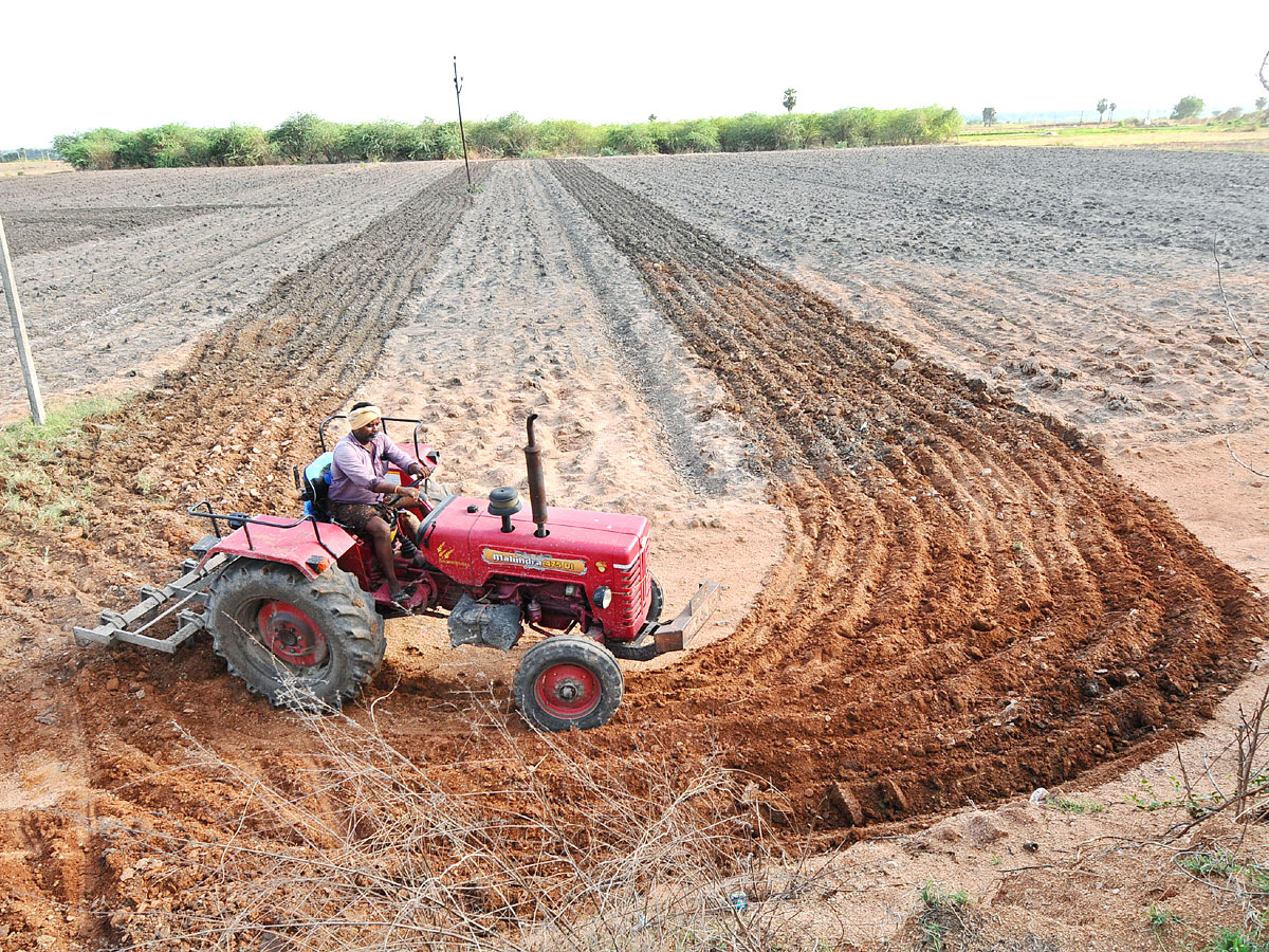 Best Photos of The Week in AP and Telangana - Sakshi19