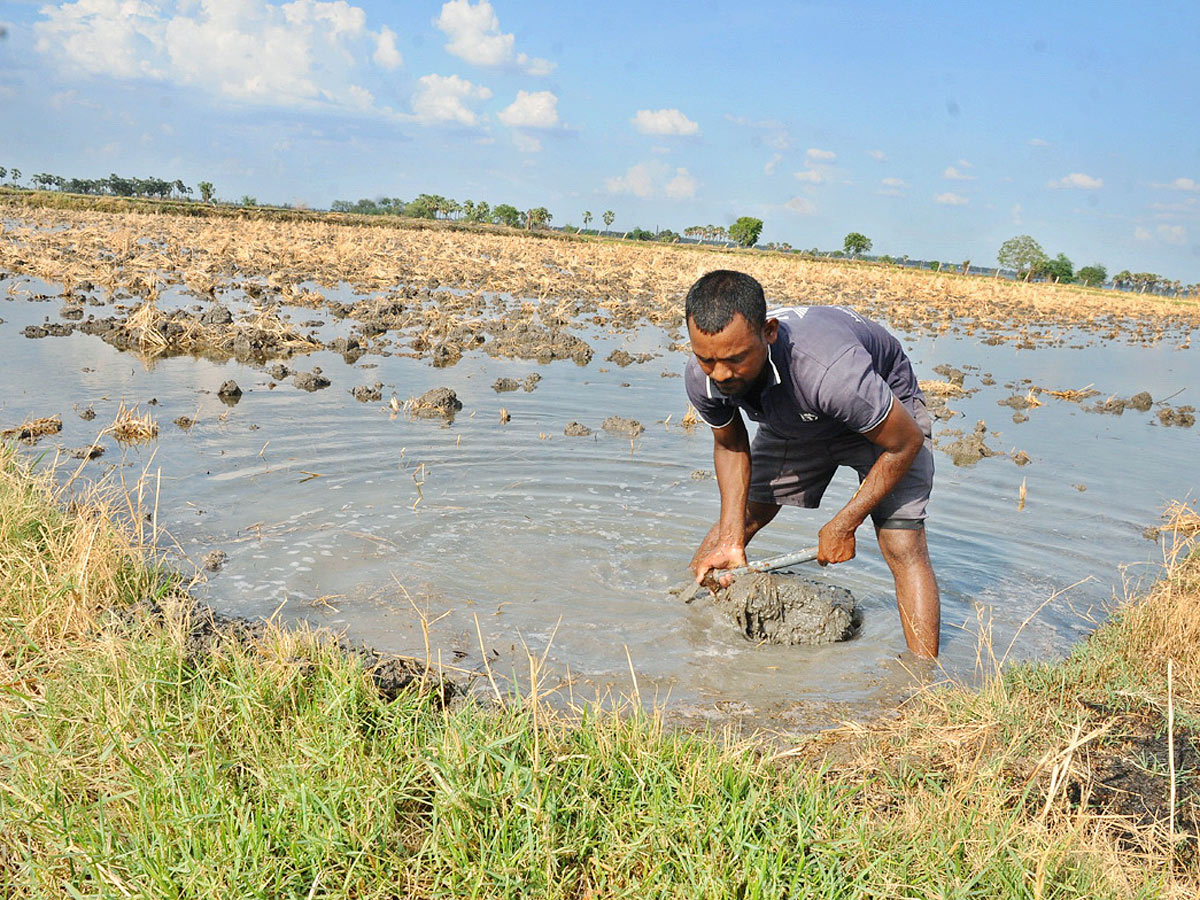 Best Photos of The Week in AP and Telangana - Sakshi21