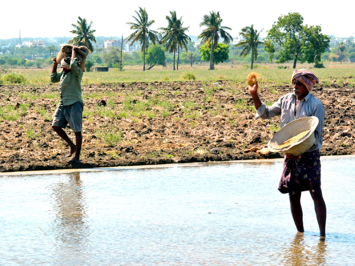 Best Photos of The Week in AP and Telangana - Sakshi29