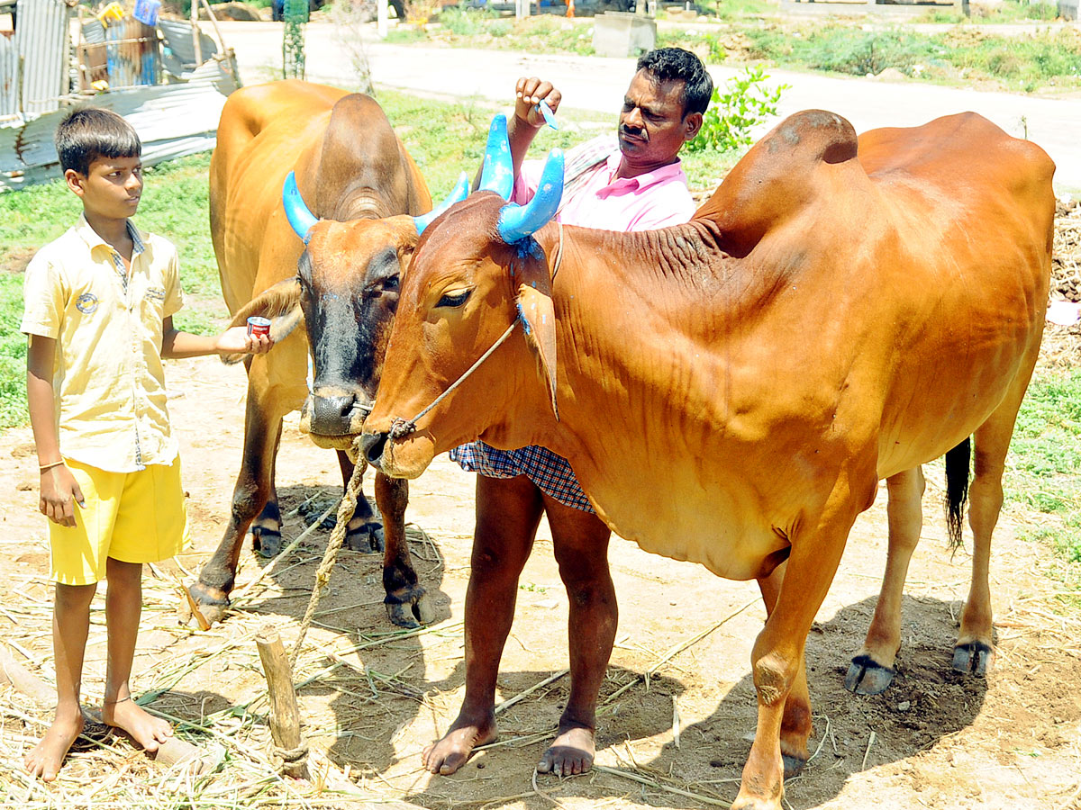 Best Photos of The Week in AP and Telangana - Sakshi32