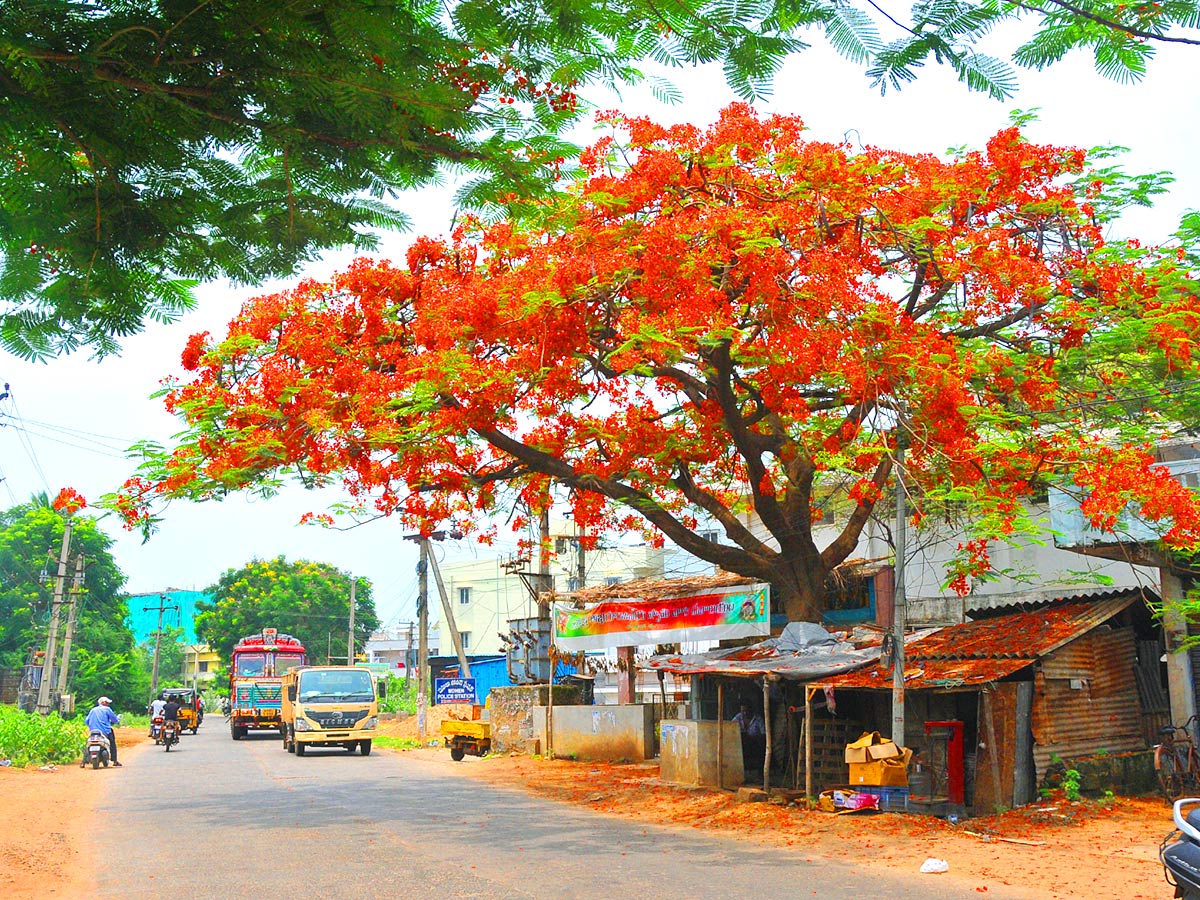 Best Photos of The Week in AP and Telangana - Sakshi42