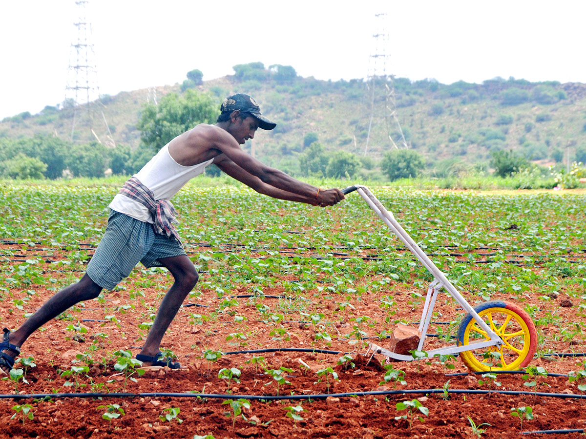 Best Photos of The Week in AP and Telangana - Sakshi6