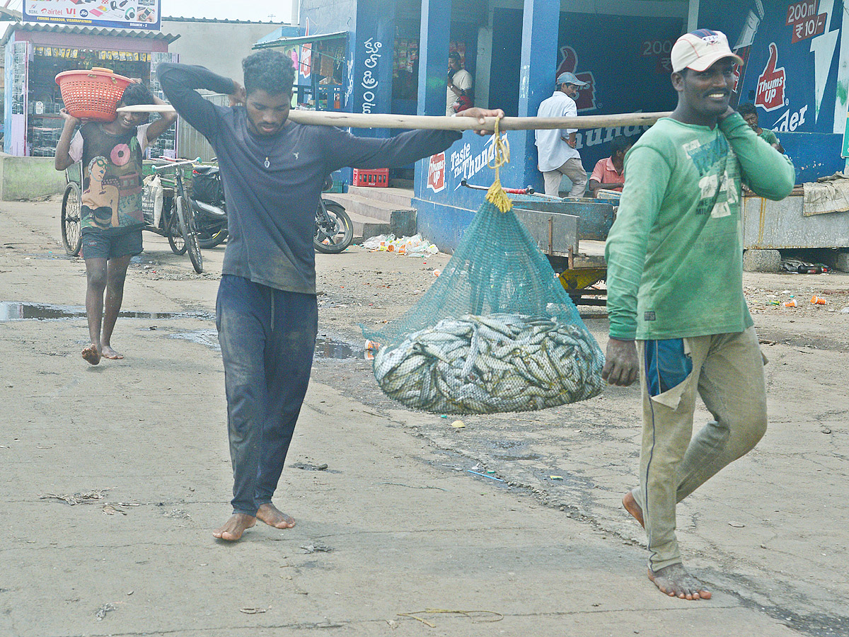 fishermen catch large amount of fishes in Visakhapatnam Photo Gallery - Sakshi8