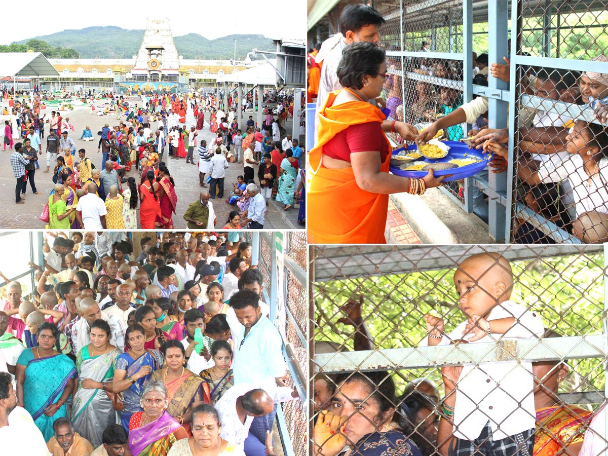 Huge Rush at Tirumala Temple Photos - Sakshi1