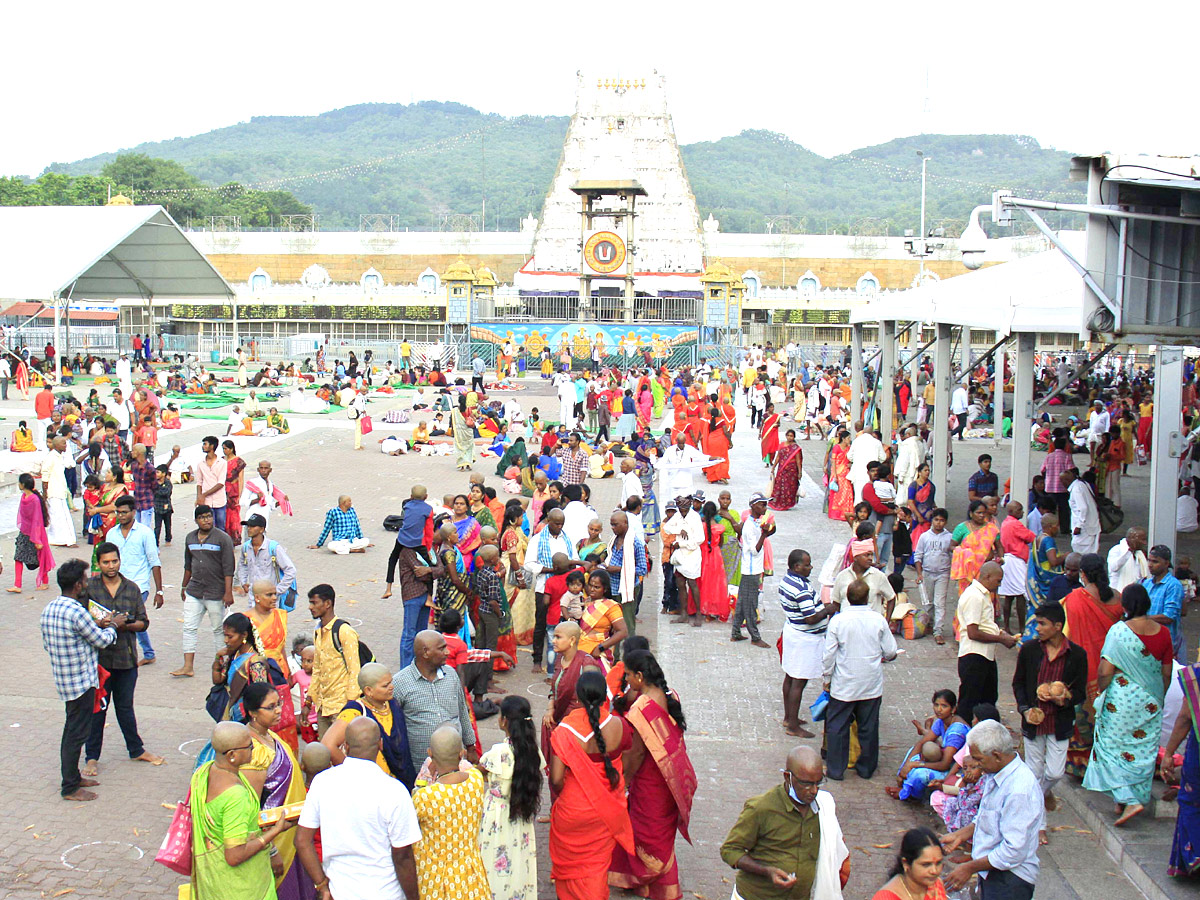 Huge Rush at Tirumala Temple Photos - Sakshi3