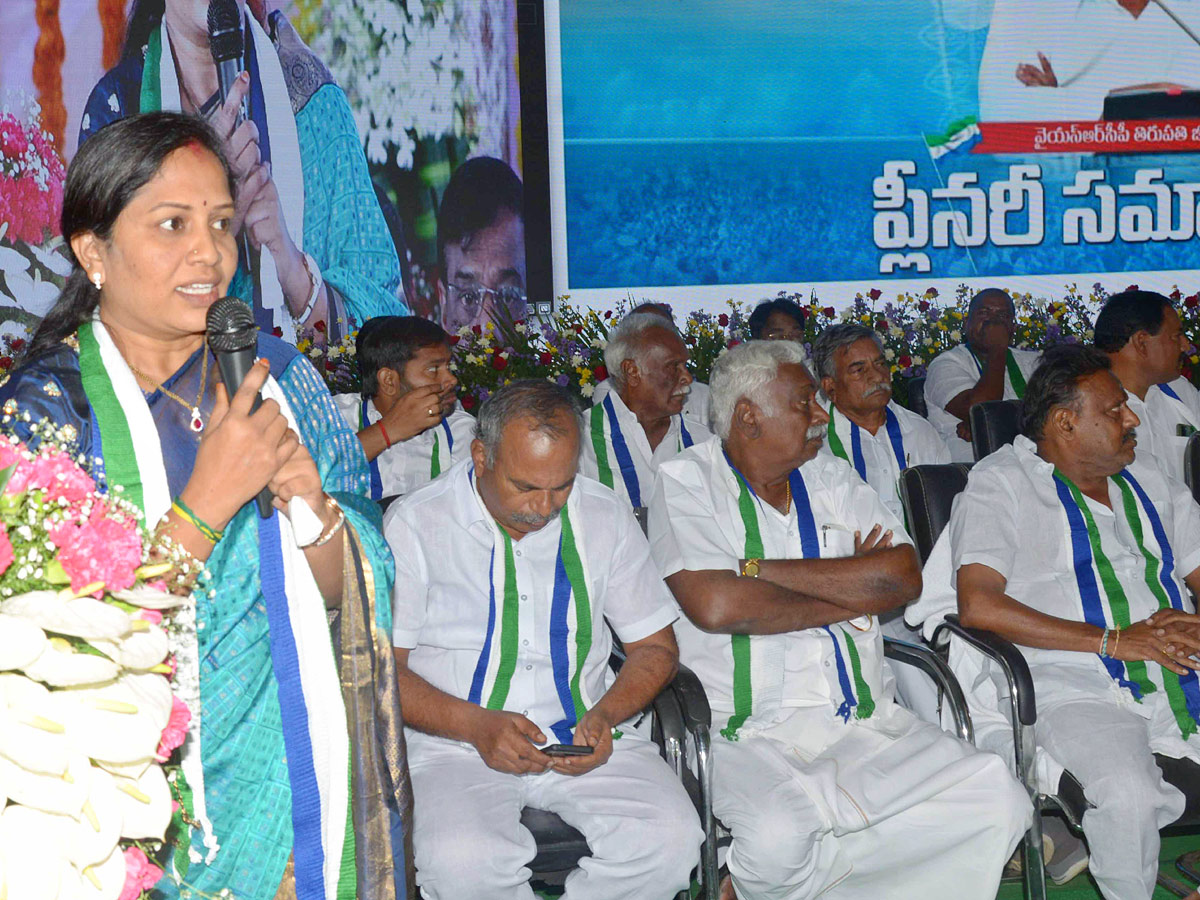 YSRCP District Level Plenary Photo Gallery - Sakshi3