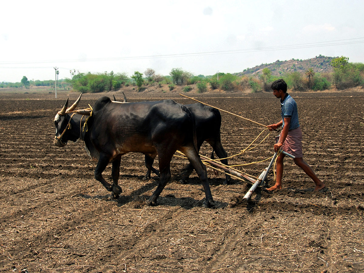 Best Photos of The Week in AP and Telangana - Sakshi7