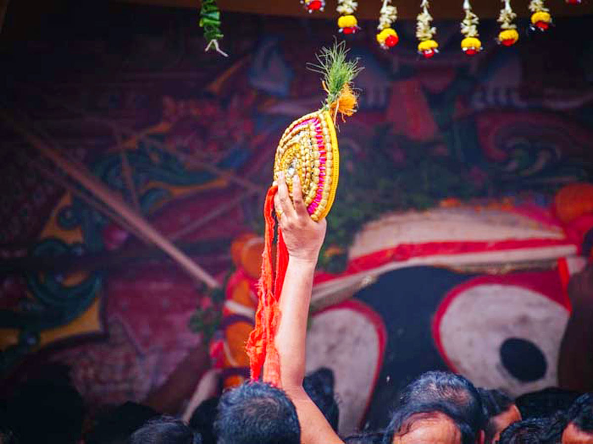 Puri Jagannath Rath Yatra At Odisha Photo Gallery - Sakshi14