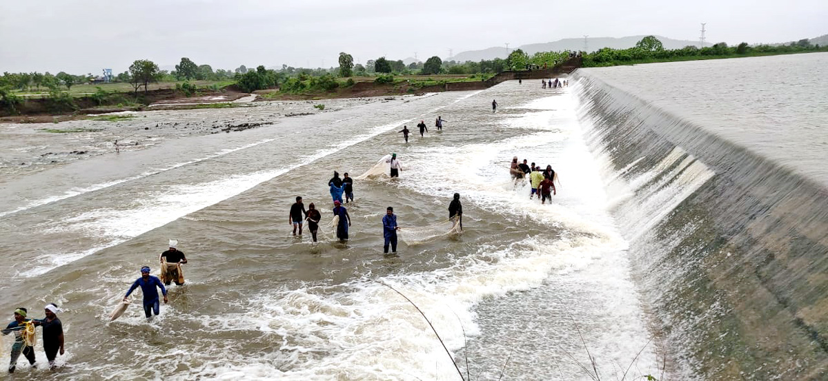 Heavy Rainfall Lashes Telangana Amazing Waterfalls Latest Photos - Sakshi28