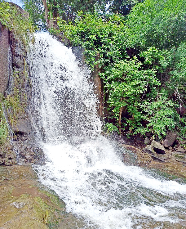 Heavy Rainfall Lashes Telangana Amazing Waterfalls Latest Photos - Sakshi4