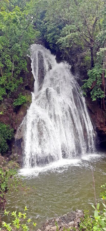 Heavy Rainfall Lashes Telangana Amazing Waterfalls Latest Photos - Sakshi8