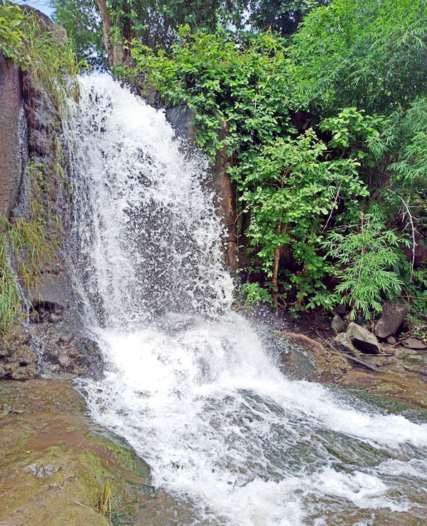 Heavy Rainfall Lashes Telangana Amazing Waterfalls Latest Photos - Sakshi31