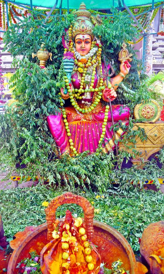 Vijayawada : Shakambari Utsav at Kanaka Durga Temple - Sakshi10