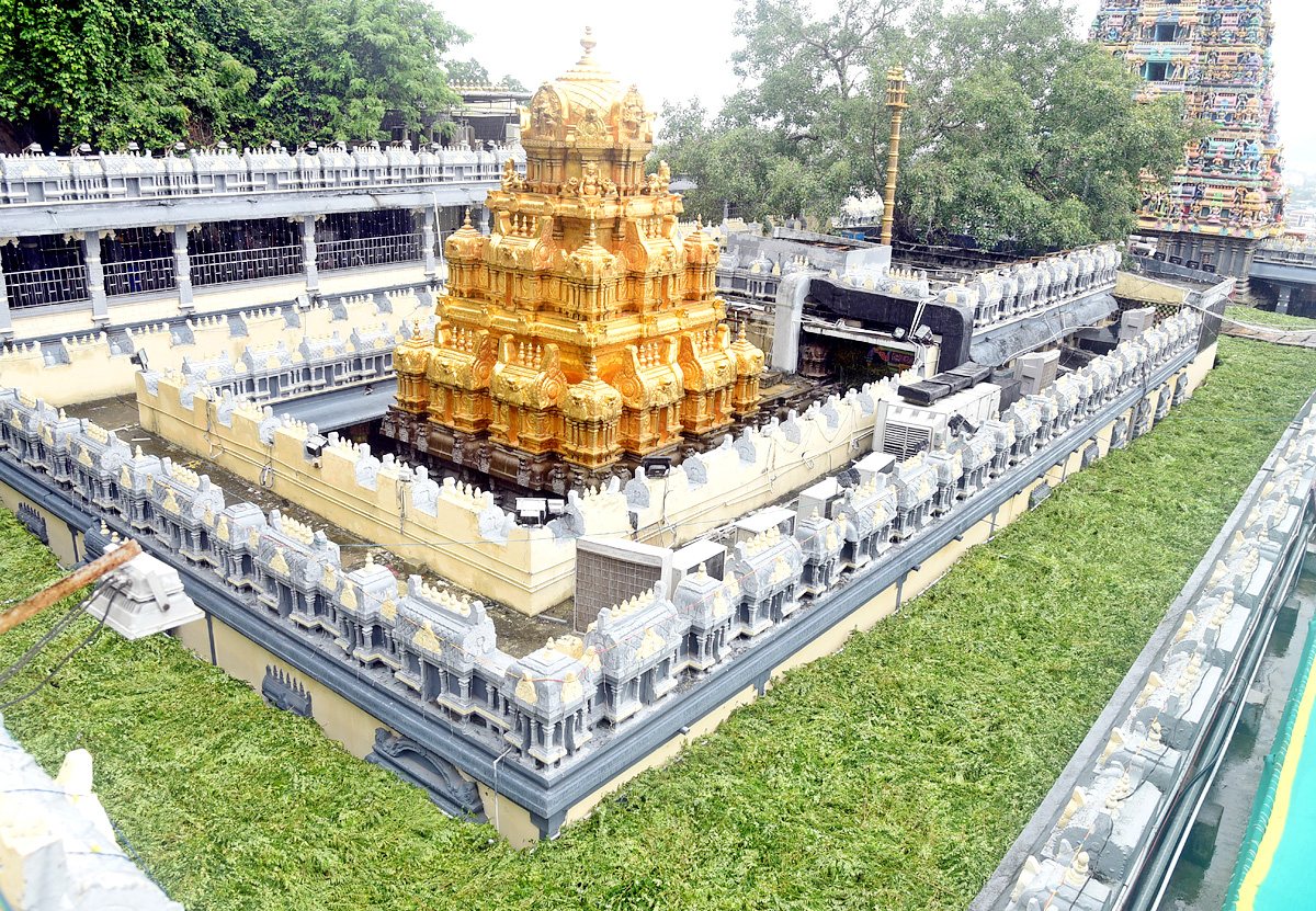 Vijayawada : Shakambari Utsav at Kanaka Durga Temple - Sakshi11