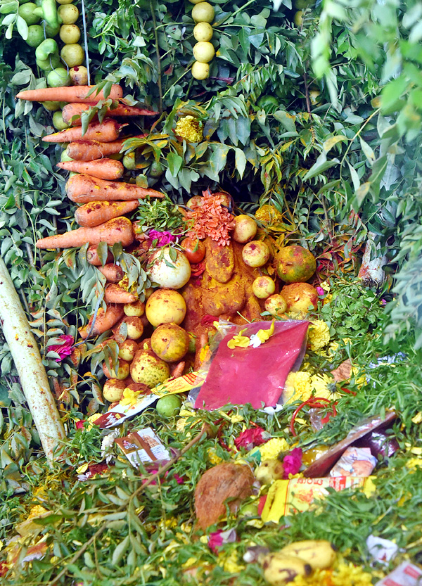 Vijayawada : Shakambari Utsav at Kanaka Durga Temple - Sakshi13