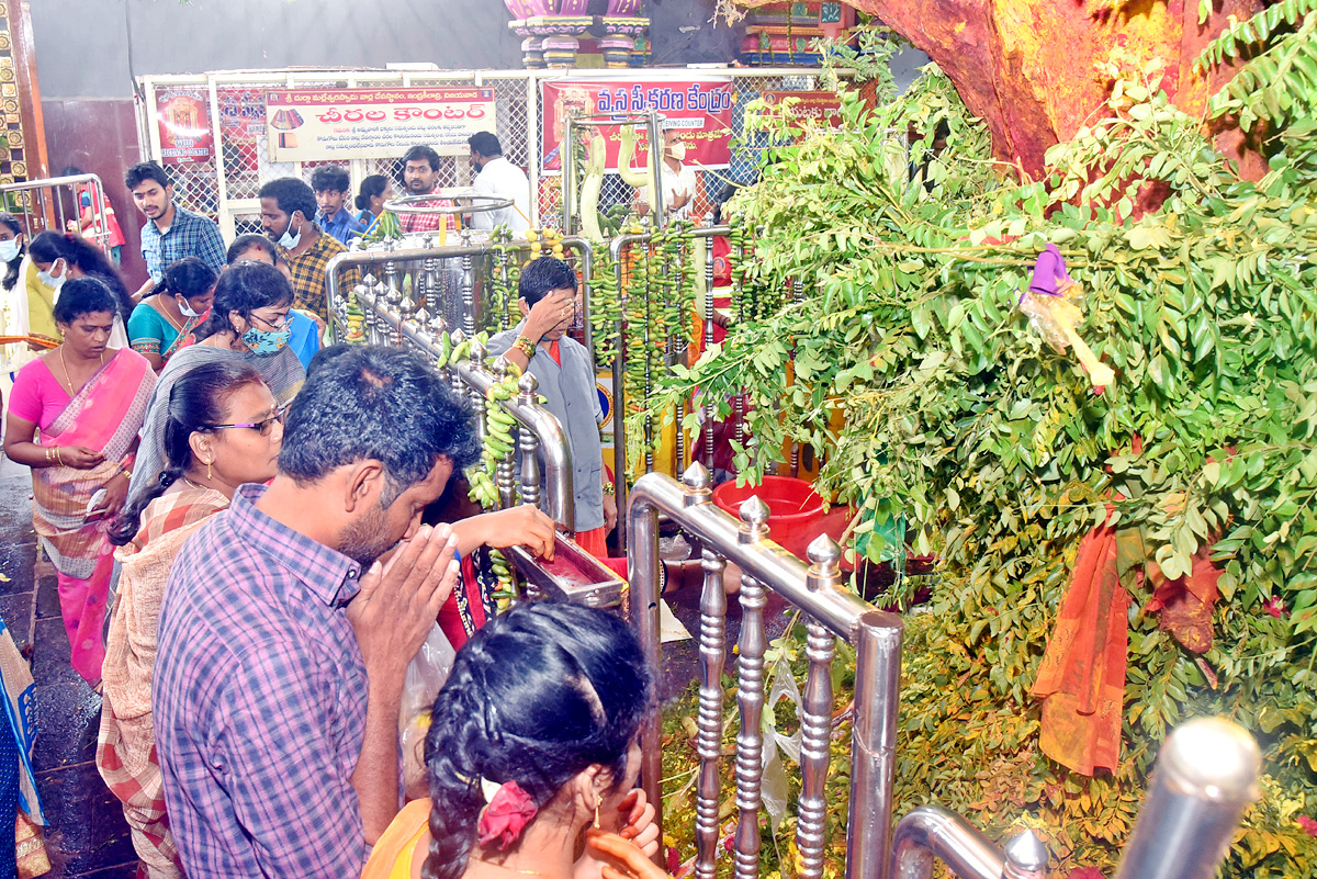 Vijayawada : Shakambari Utsav at Kanaka Durga Temple - Sakshi14