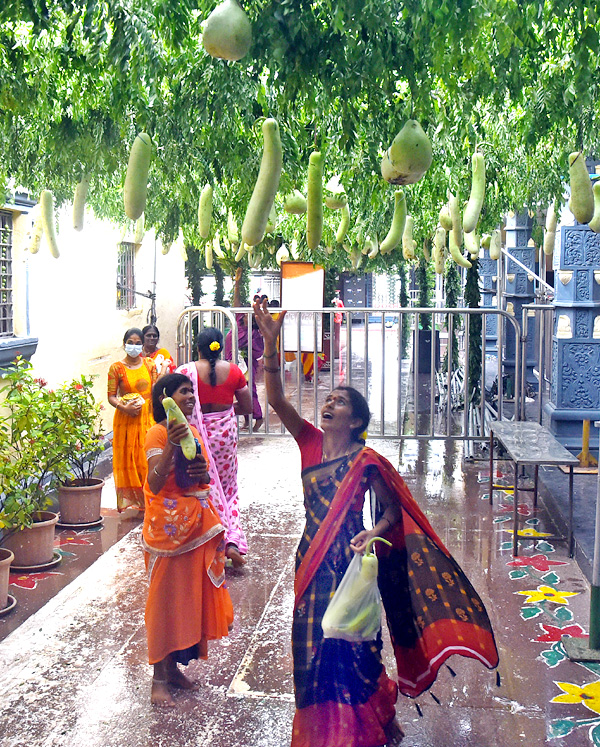 Vijayawada : Shakambari Utsav at Kanaka Durga Temple - Sakshi18