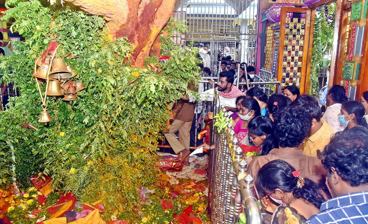 Vijayawada : Shakambari Utsav at Kanaka Durga Temple - Sakshi29