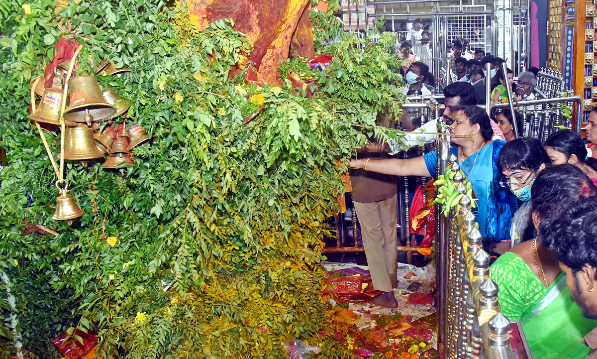 Vijayawada : Shakambari Utsav at Kanaka Durga Temple - Sakshi30